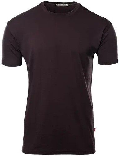 LightWool 180 Classic Tee M's Chocolate Plum