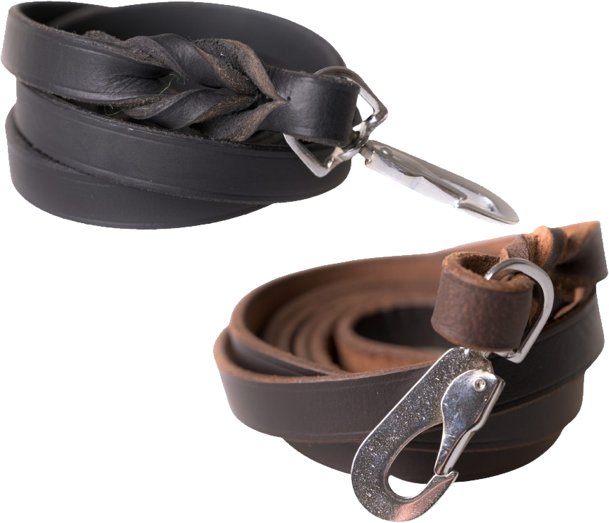 Leather Leash 1