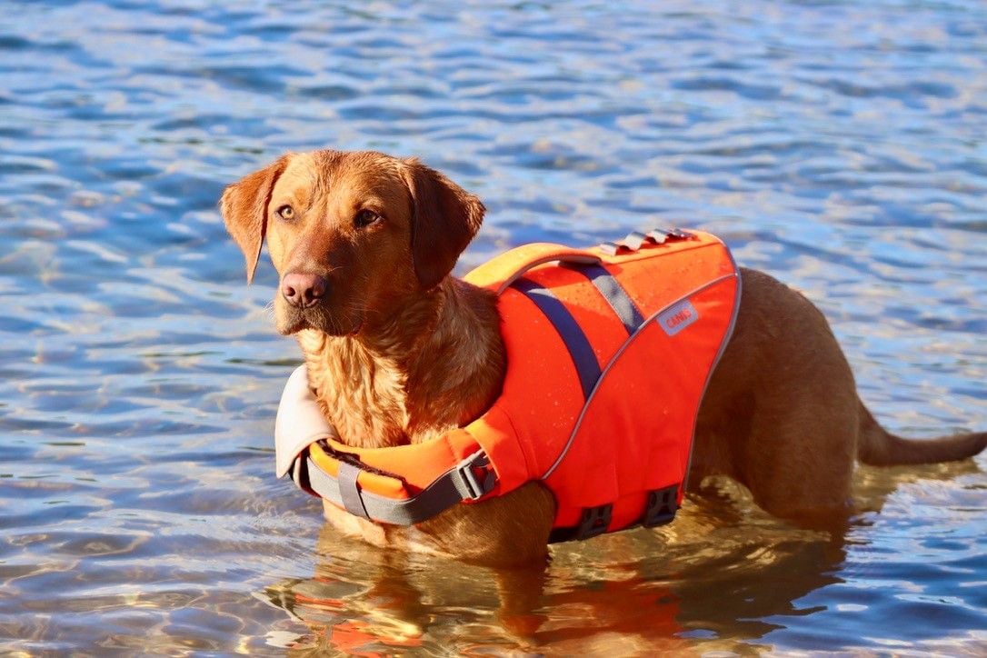 Life Jacket M-L