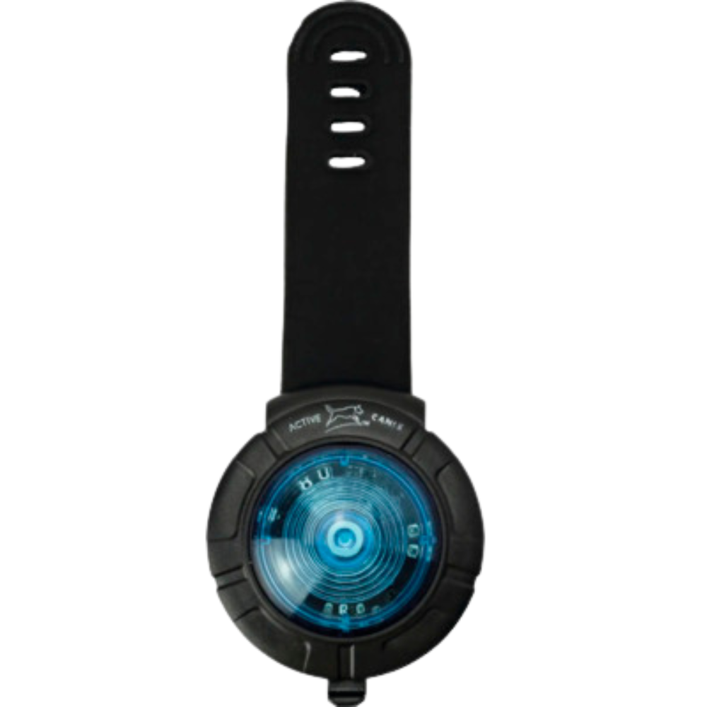 Safety Light Blue