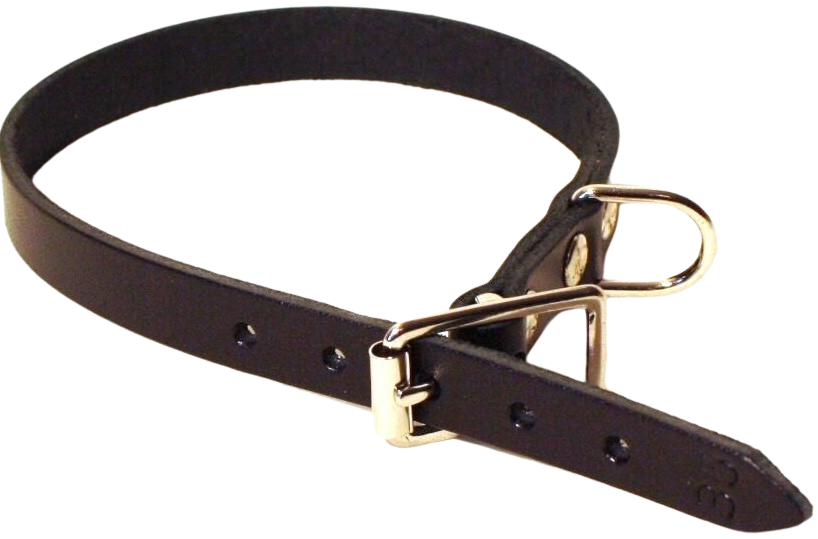 Halsband Läder Svart 18 mm x 45 cm