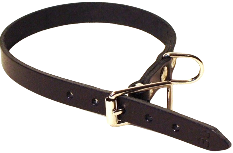 Halsband Läder Svart 22 mm x 60 cm