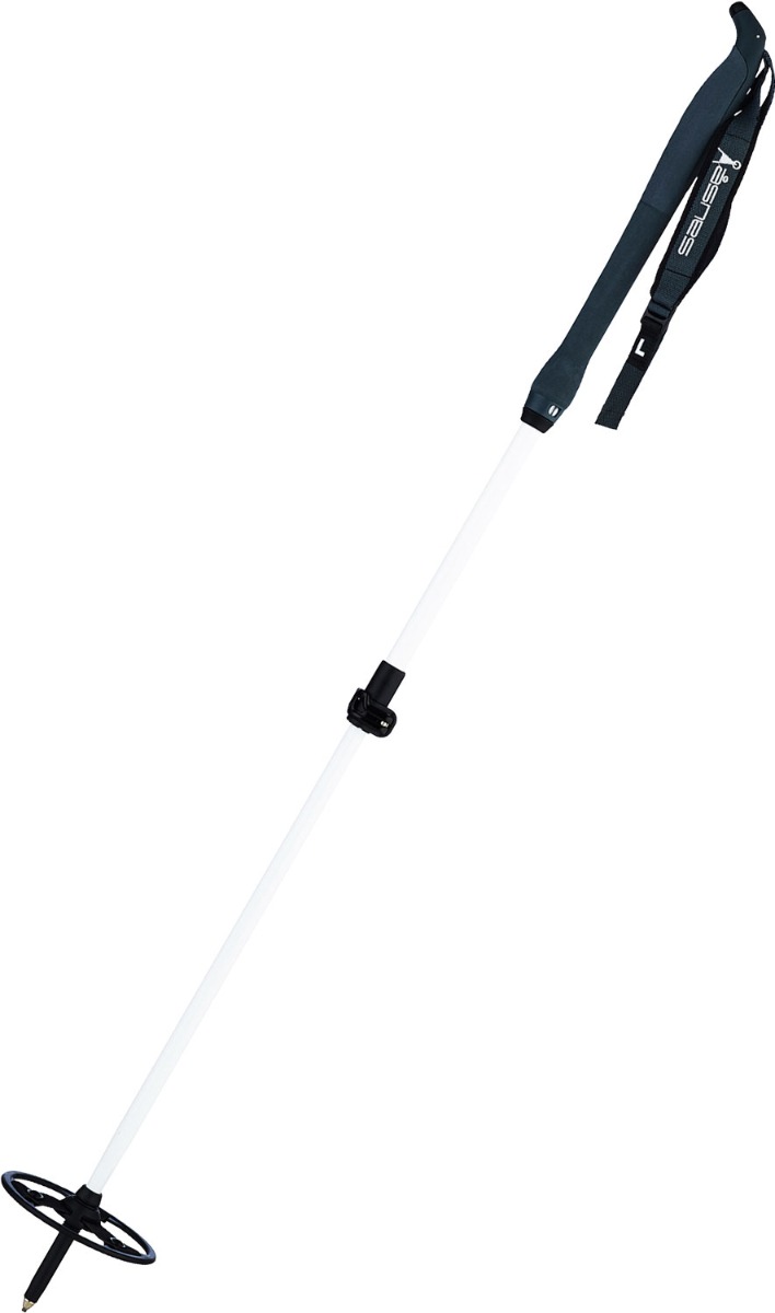 Combat Pole 2-Part