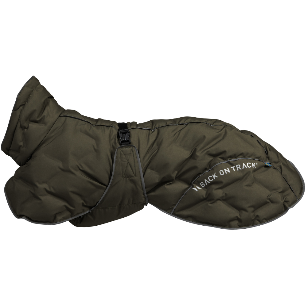 Bay Padded Coat Low Set Tail 55-65 cm Olive