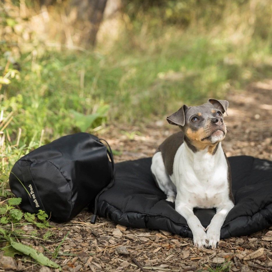 Hundeseng Oval Svart 50x60 cm
