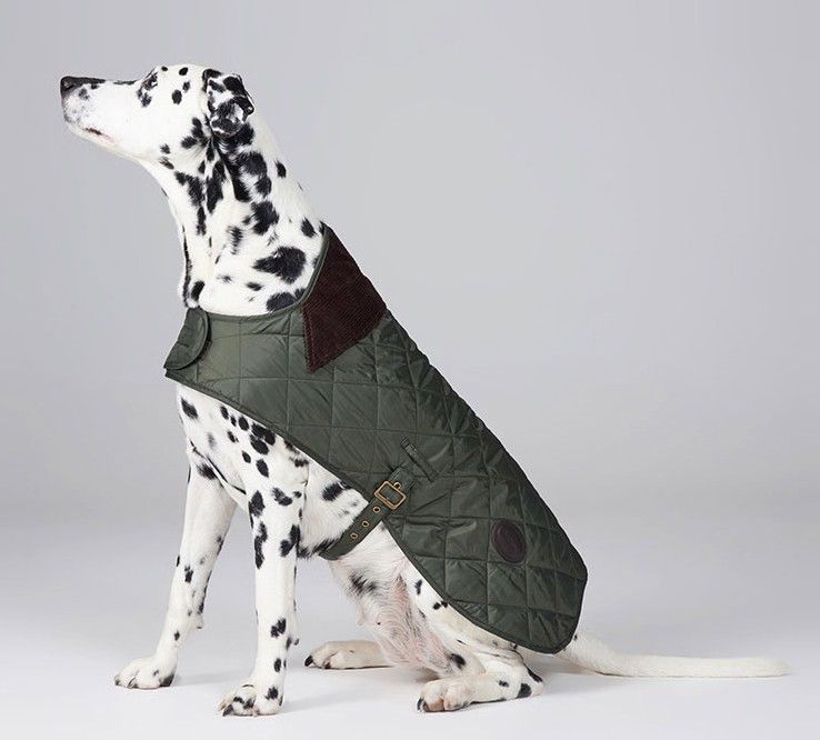 Quilted Dog Coat Forest