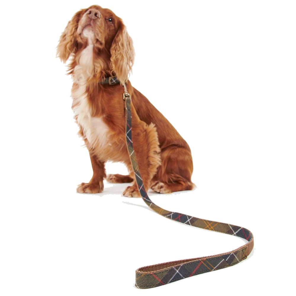 Tartan/Webbing Dog Lead Classic Tartan