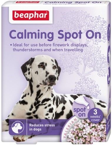 Calming Spot On Hund