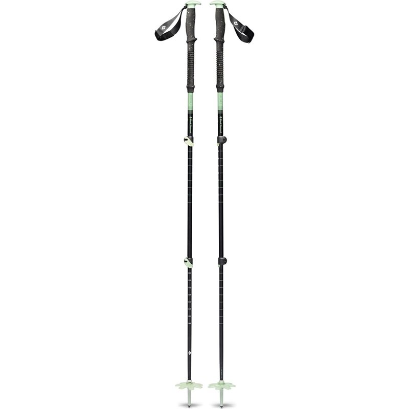 Expedition 3P Ski Poles