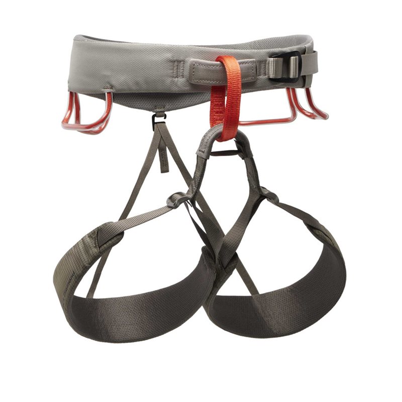 M Momentum Harness