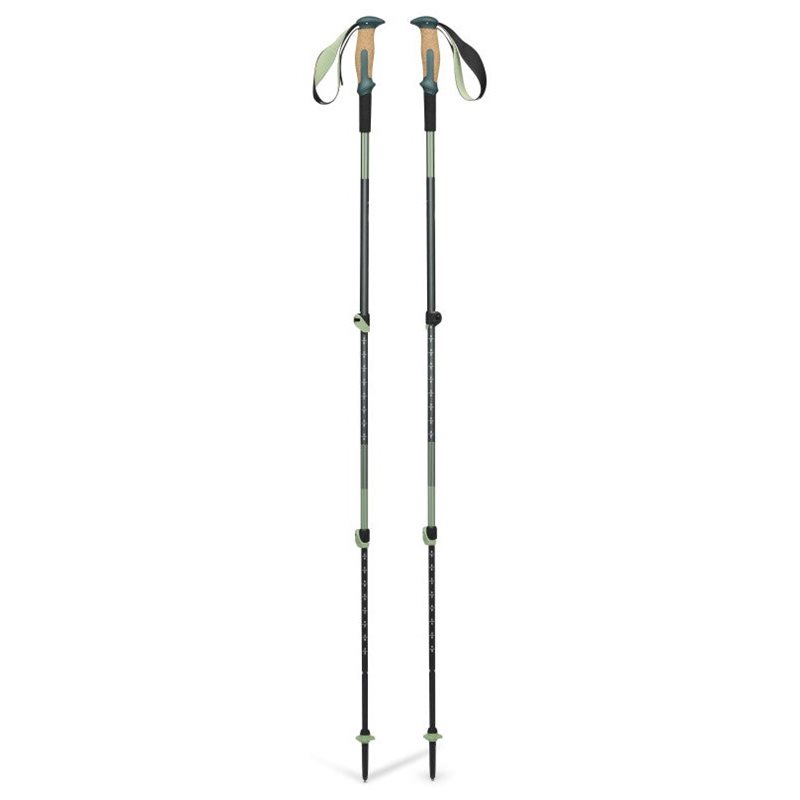 Trail Vista Shock Trek Poles