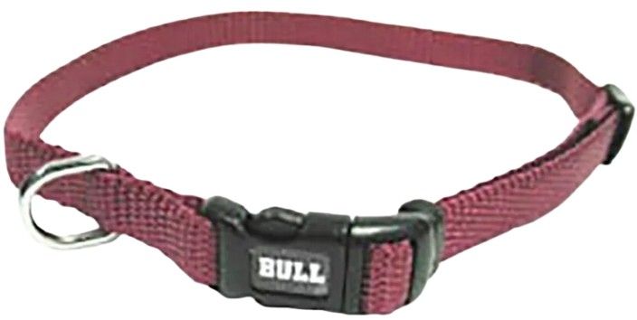 Collar Nylon Burgundy 45-65 cm