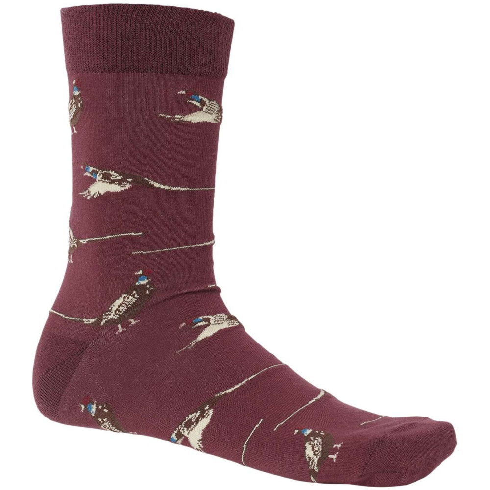 Pomeroy Socks Fox Red Pheasant