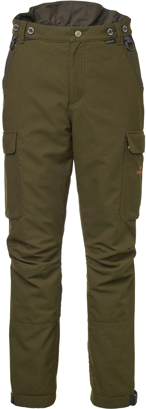 Reinforcement GTX Pants Men Autumn Green
