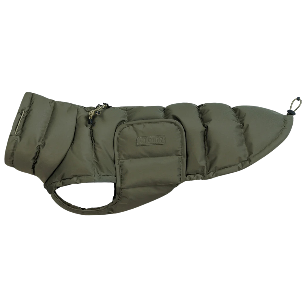 Alaska Winter Coat Dachshund size 2 Light Olive
