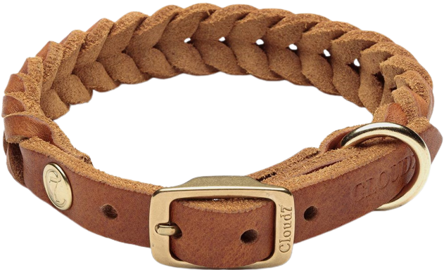 Collar Central Park L-XXL Camel Gold