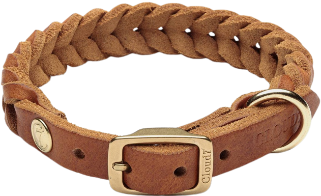 Collar Central Park XS-M Camel Gold