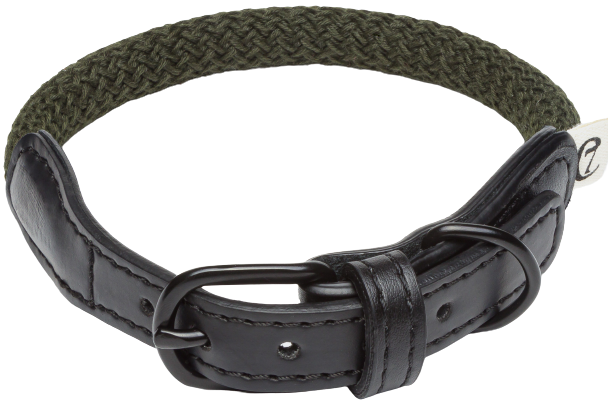 Collar Mauerpark XS-XL Olive