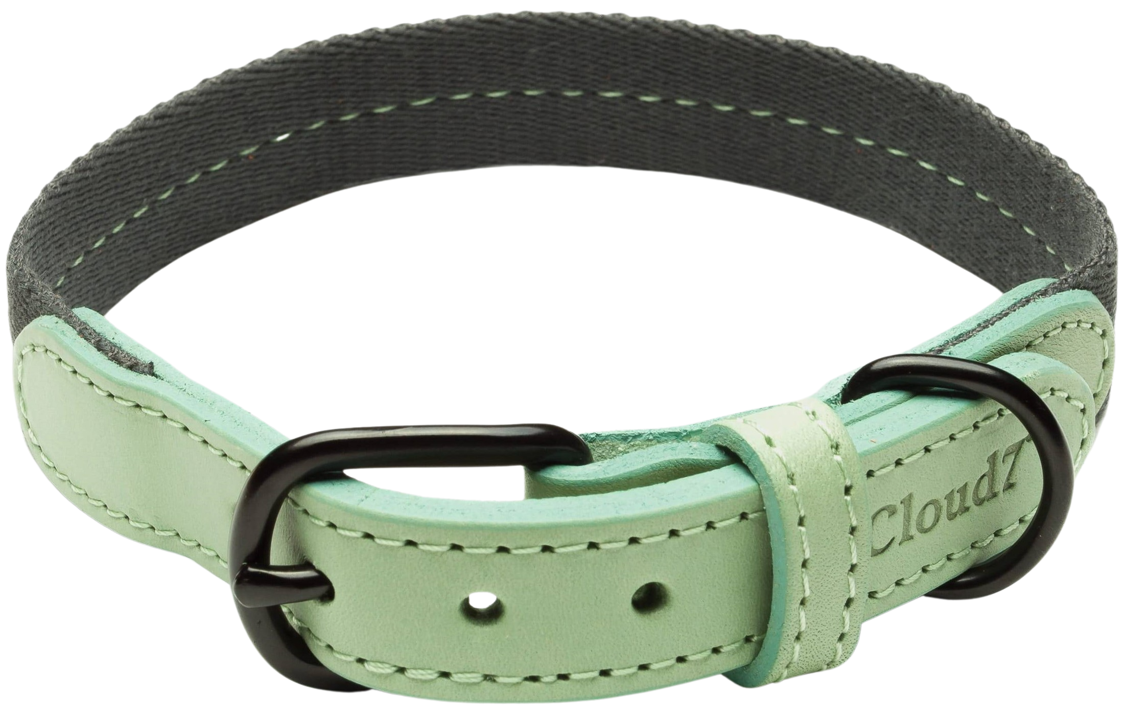 Dog Collar L-XL Madeira Mint
