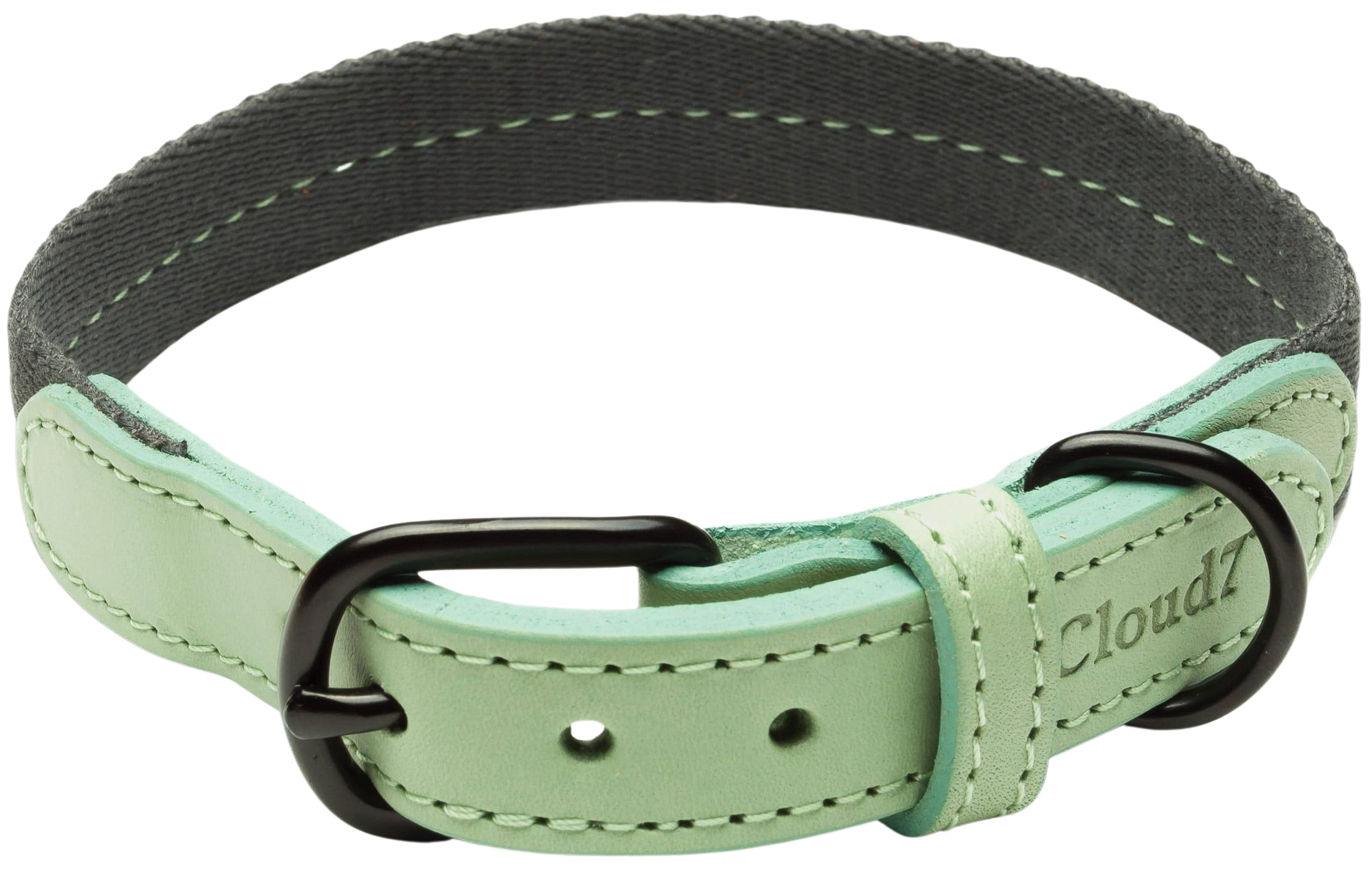 Dog Collar XS-M Madeira Mint
