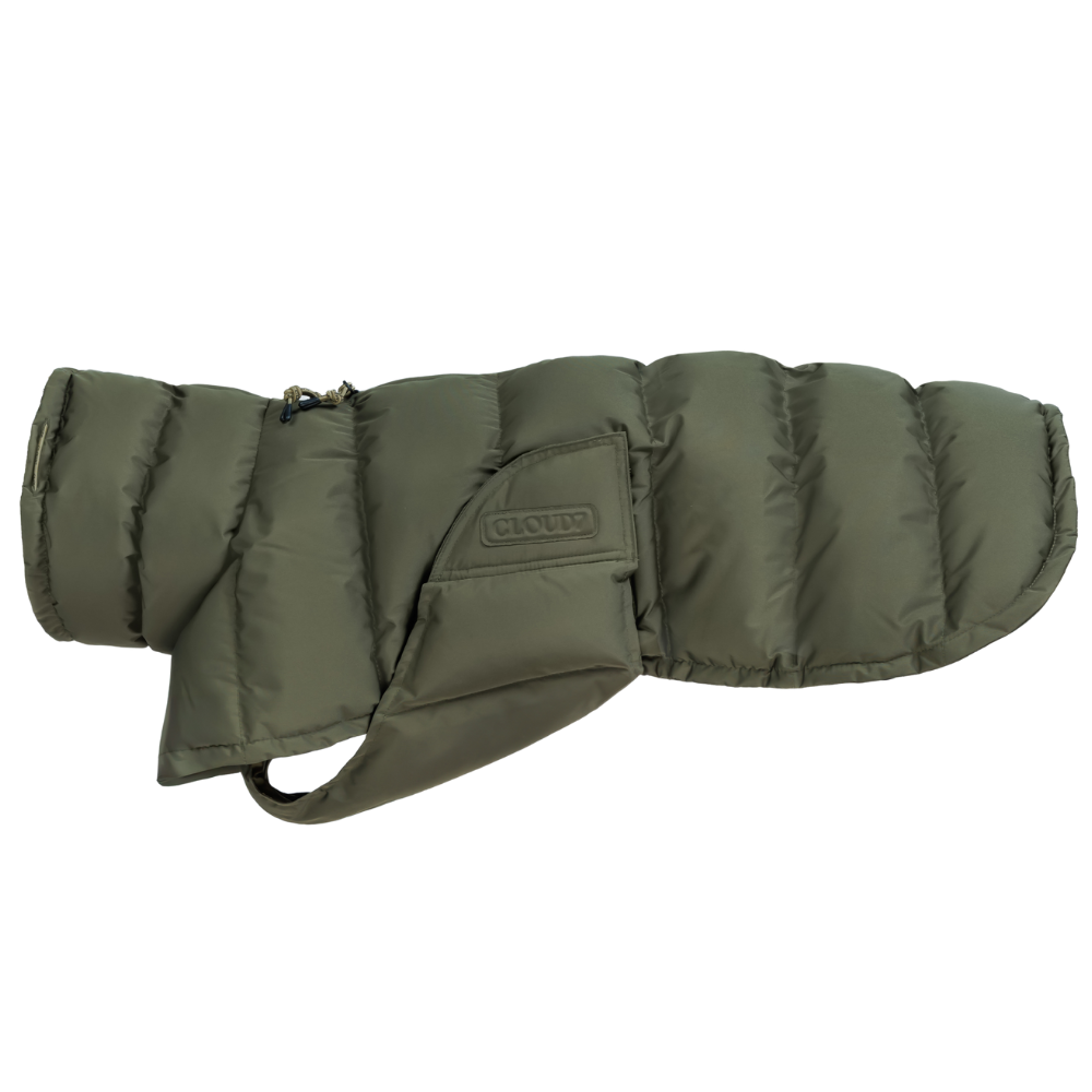 Everest Winter Coat Light size 6 Olive