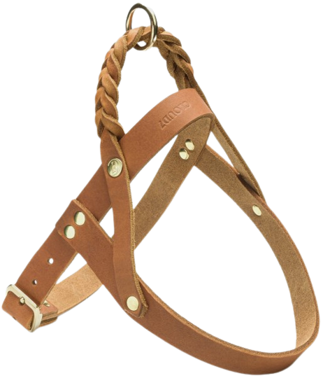 Harness Central Park M-L Camel Gold