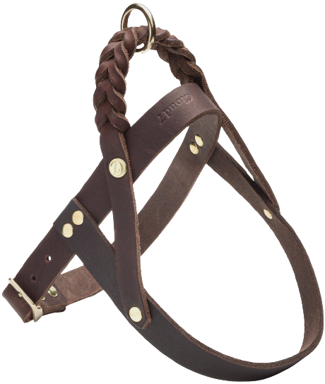 Harness Central Park XL Saddle Brown Gold