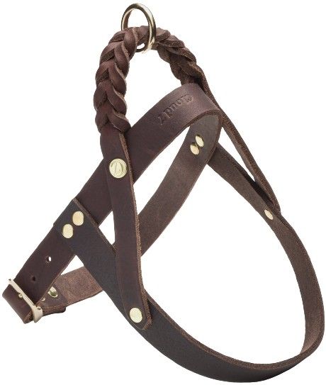 Harness Central Park XS-S Saddle Brown Gold