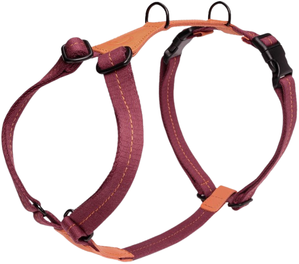 Harness Madeira XL-XXL Papaya