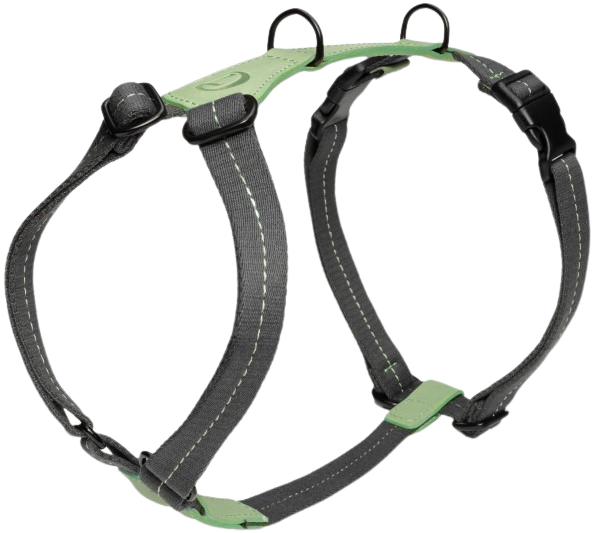 Harness XL-XXL Madeira Mint