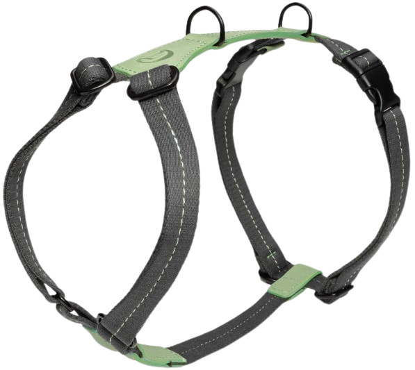 Harness XS-S Madeira Mint