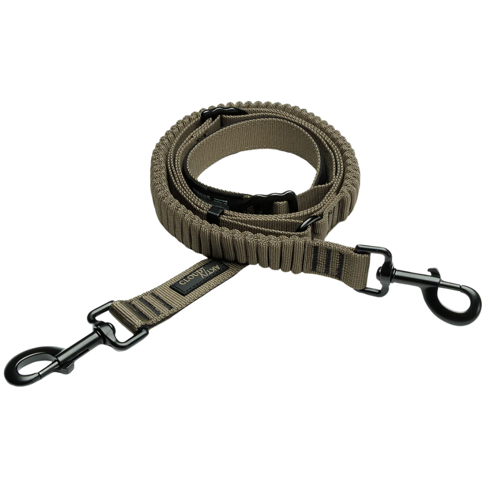 L-2-Jogging-Leash L Olive