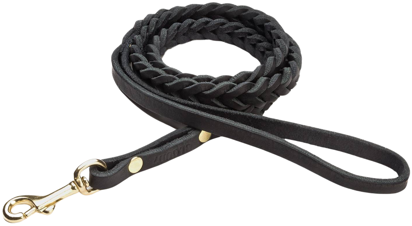 Leash Central Park L Black Gold Braided