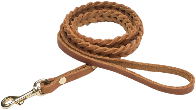 Leash Central Park L Camel Gold