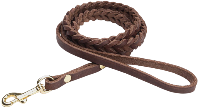Leash Central Park S Saddle Brown Gold