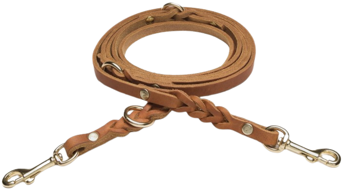 Leash Riverside Park L Camel Gold