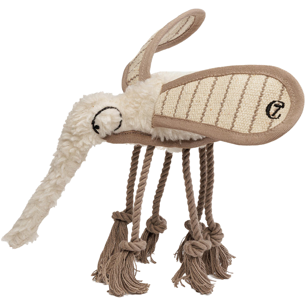 Mosquito Momo