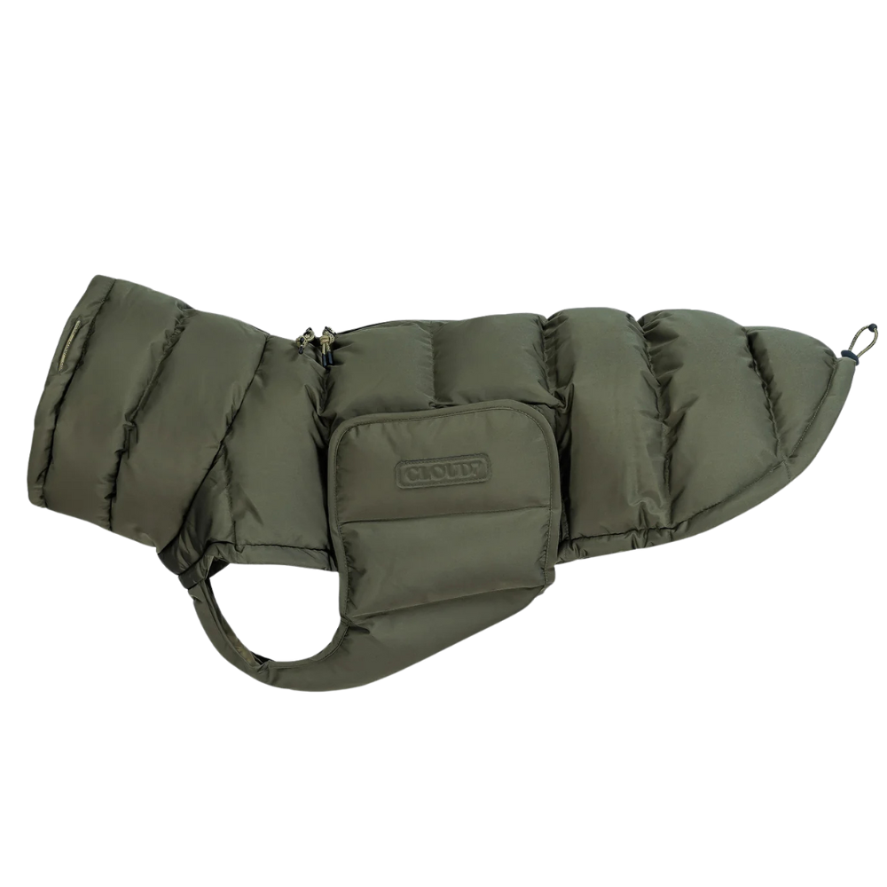 Winter Coat size 3-5 Light Olive