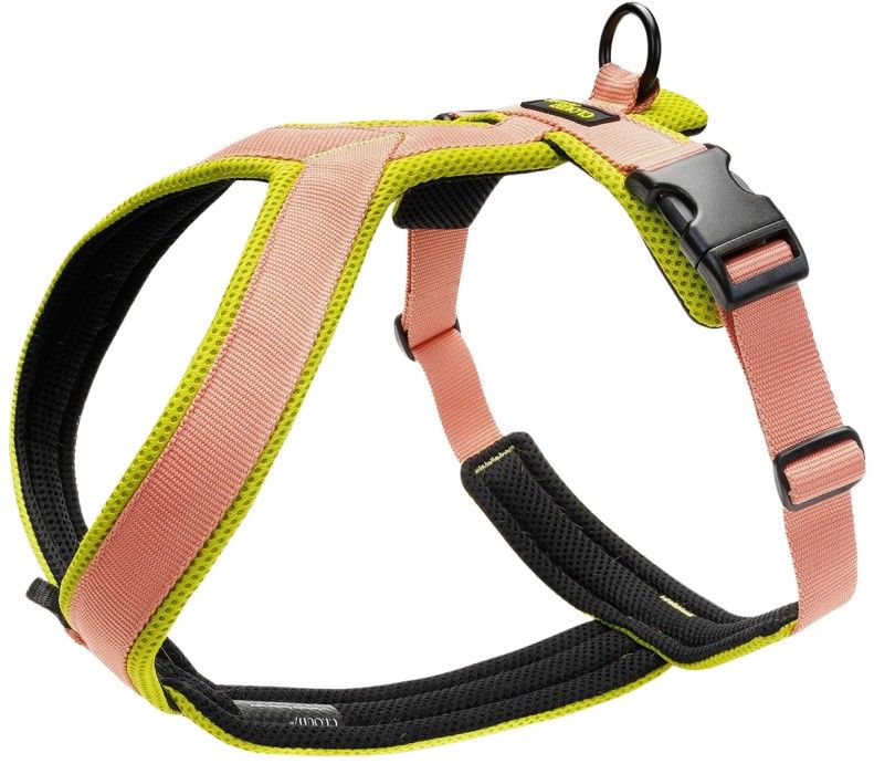 Y-1-Harness Peach / S Neon Green