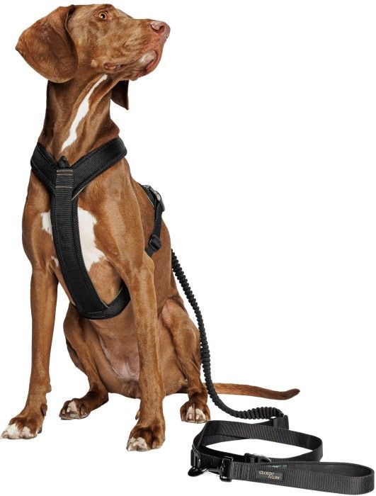 Y-1-Harness S Black