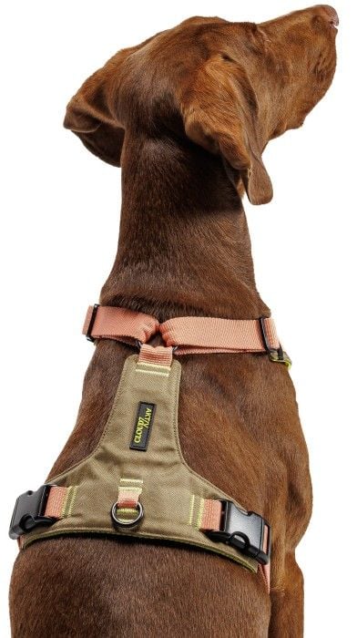 Y-2-Harness Khaki / XS-S Peach