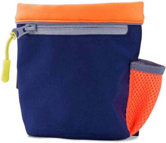 Train & Treat Bag Coral