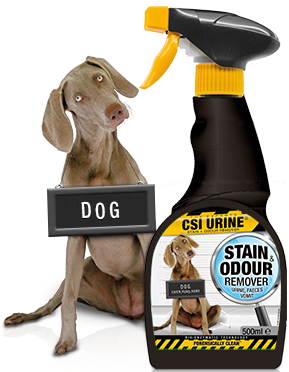 Dog Spray 500 ml