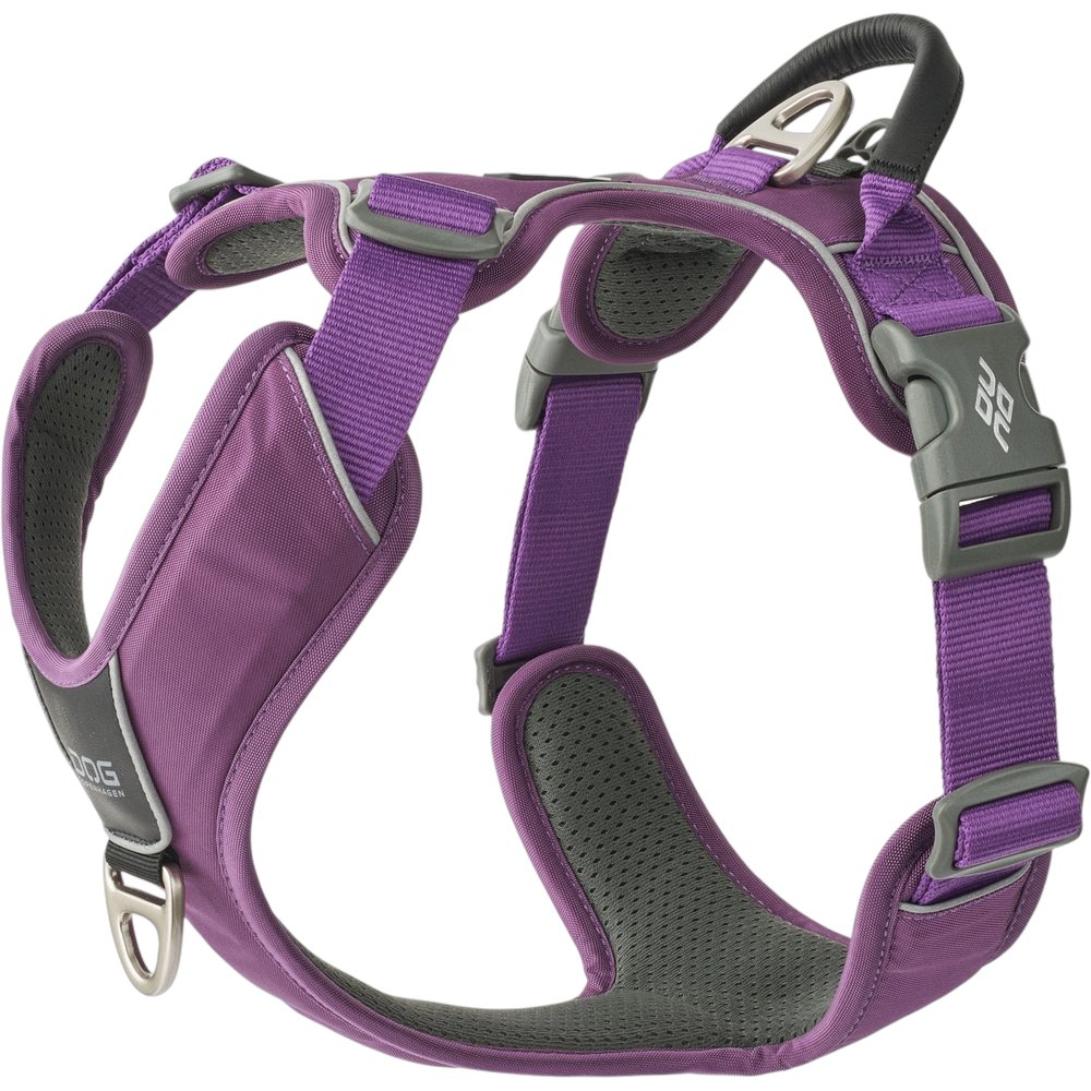 Comfort Walk Pro Harness L Purple Passion