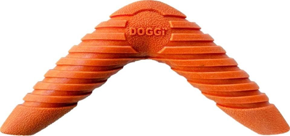 Catch & Carry Boomerang