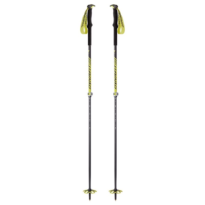 Free Vario Pole