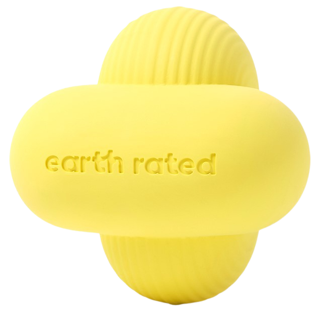 Fetch Toy Small