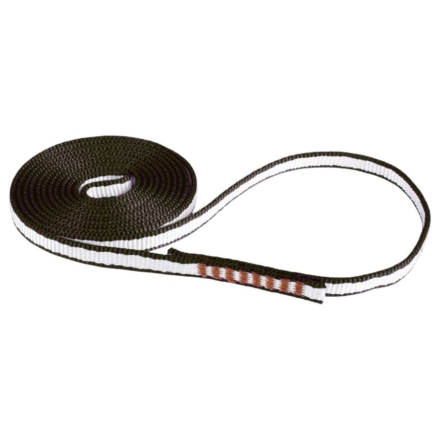 Edelweiss Sling 10MM Dyneema X5