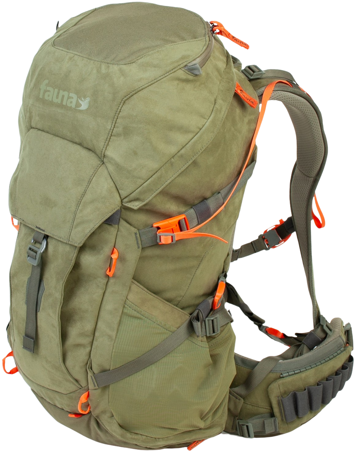 Kinglet 35