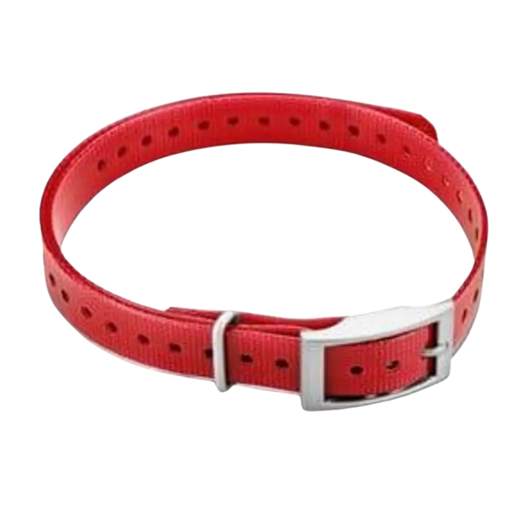 Halsband T5 mini - Rødt (firkantet spenne)